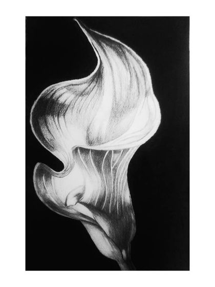 The Messy Hand - Custom & Commissioned Artwork Paintings on Canvas & Paper photo 7