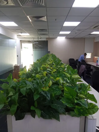 The long line of desk-top planters brings a sense of nature and calm to this corporate office.