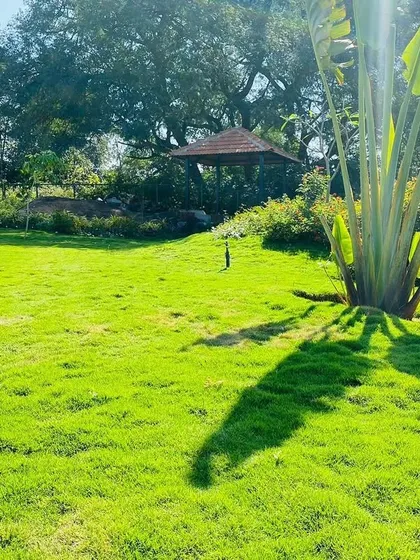 This expansive lawn shows our capability in handling large-scale landscaping projects. We installed a vibrant green lawn, selected a statement Traveller's Palm, and built a shaded gazebo to create a perfect park-like setting for relaxation.