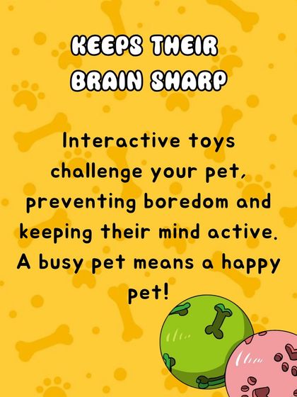 Oh My Dawg - Pet Supplies Playtime & Enrichment photo 6