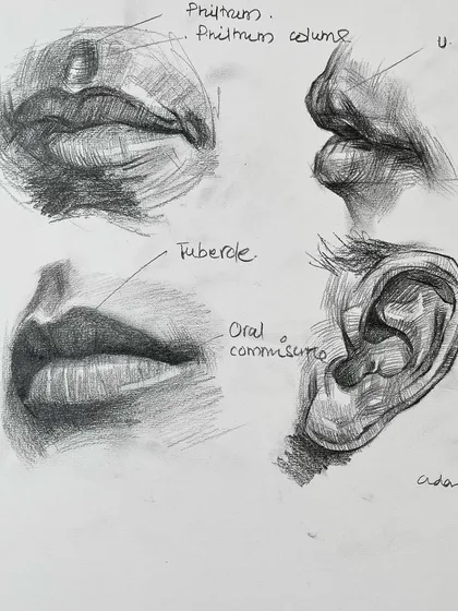 From my sketchbook, these are graphite studies of lips and an ear. Practicing individual features is key to building the confidence to tackle a full portrait.