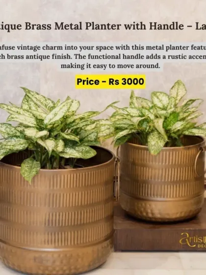 Infuse vintage charm into your space with this antique brass metal planter. The functional handle adds a rustic accent while making it easy to move.