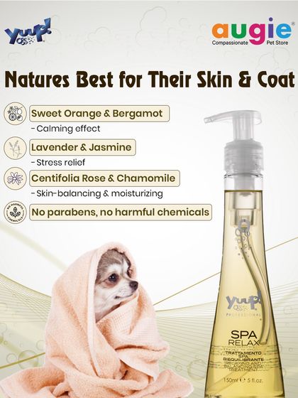 Augie Pets - Pet Grooming Services Shampoos & Conditioners for Every Coat photo 19