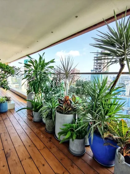 We believe in the beauty and benefit of real, live plants. This vibrant balcony deck, with its wooden flooring and a mix of colorful plants, is a testament to how fresh greenery is always the best choice.