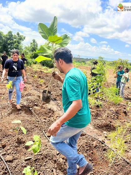 These images showcase individual employees from EXL, Marsh, Amdocs, Telus, HCL, and Northern Trust deeply engaged in the act of planting. Each photo captures a personal moment of connection with nature, showing the focus and care that our corporate volunteers bring to these drives.