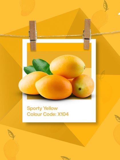 Paint My Walls - Painting Services Free Color Consultation & Inspiration photo 103