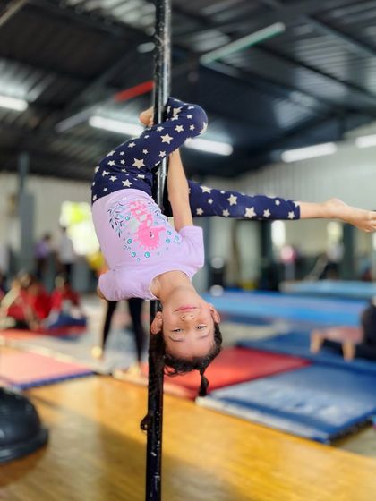 The Movement Studio - Aerial Arts Pole Fitness: Defy Gravity photo 10