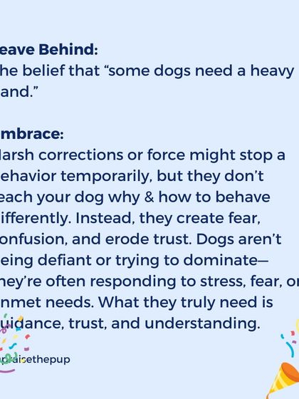 The belief that "some dogs need a heavy hand" is something I actively work against. Harsh corrections create fear and erode trust. What dogs truly need when they are struggling is guidance and understanding, not force.