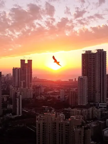 A perfectly timed drone shot capturing a bird in flight, silhouetted against the setting sun over the Mumbai skyline.