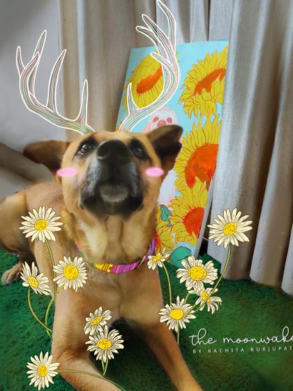 Rachita Burjupati - Art Prints & Merchandise Surreal Photo Illustrations photo 5