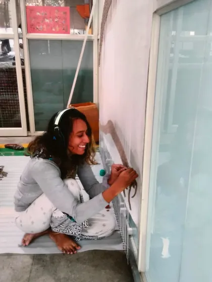 Vritti Kotian - Custom Murals & Wall Art Beyond the Wall: Installations & Canvas Art photo 14