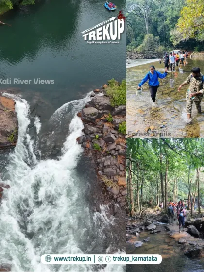 A collage showcasing the diverse experiences in Dandeli, from the views of the Kali River to trekking through streams and forest paths.