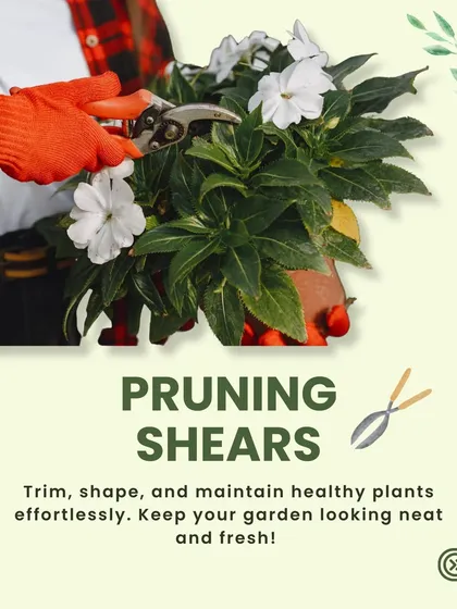 Keep your garden looking neat and fresh with a pair of pruning shears. These are essential for trimming and shaping your plants, which encourages healthy new growth.