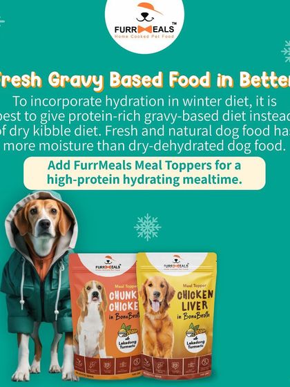 Winter is here! This guide provides my top diet tips for dogs during the colder months, including managing calorie intake, keeping them hydrated, supporting fur health, and using high-protein, low-calorie treats.