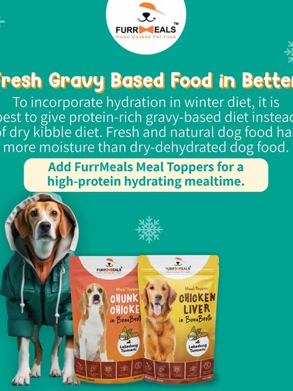 This extensive library of educational content covers everything a pet parent needs to know, from the benefits of turmeric and moringa to tips for hydration, sleep, dental health, and raising a new puppy.