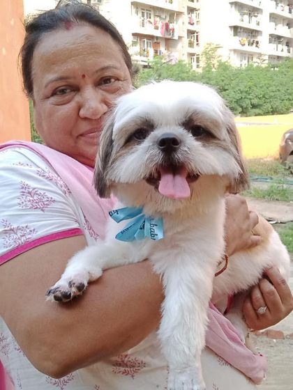 A proud pet parent holding her freshly groomed and very happy Shih Tzu.
