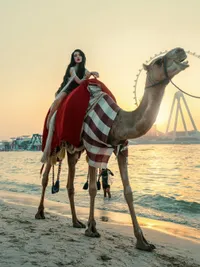Fashion Photography