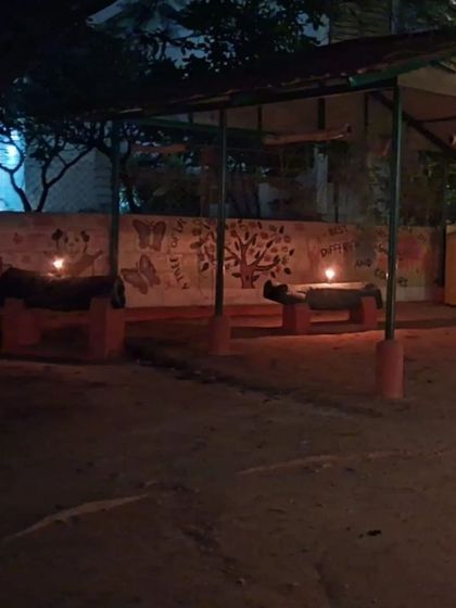 PetStepin - Pet-Friendly Events Quiet Zones for Noisy Festivals photo 14