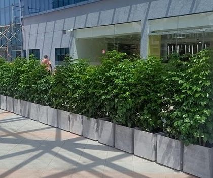 Rakshith Landscaping - Landscape Design & Installation Plant & Tree Supply photo 11