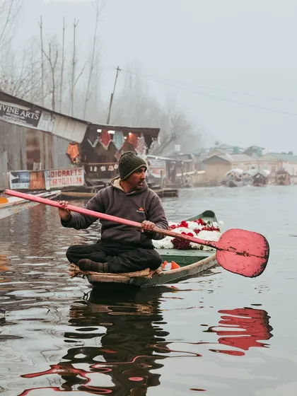 A flower seller on Dal Lake, his boat filled with colorful blooms. The reflection of his bright pink paddle in the water adds a beautiful touch to the composition.