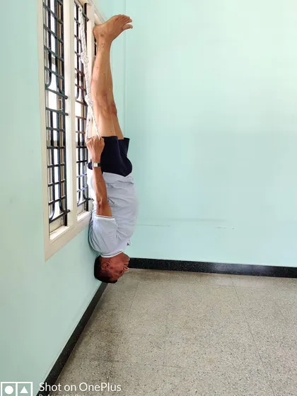 Side view of Rope Shirshasana, showing the alignment of the body against the wall. The wall and ropes work together to ensure a safe and effective inversion.