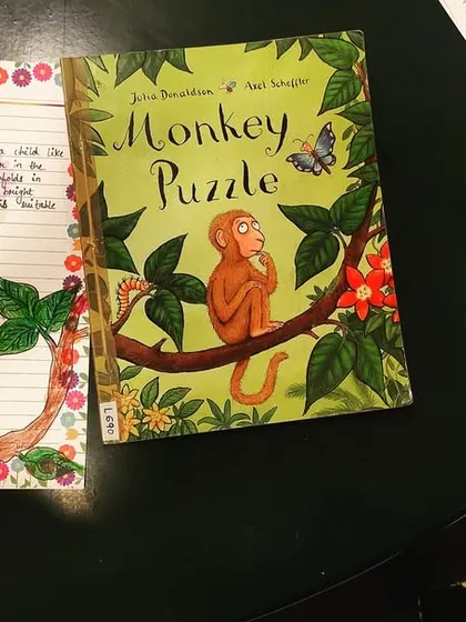 A beautiful book review for 'Monkey Puzzle' by Julia Donaldson. Our members not only read the book but also create artistic responses to it.