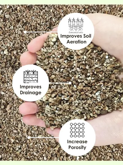 Organic exfoliated vermiculite is a fantastic soil additive. It improves soil aeration, drainage, and porosity, creating the ideal environment for healthy root development.