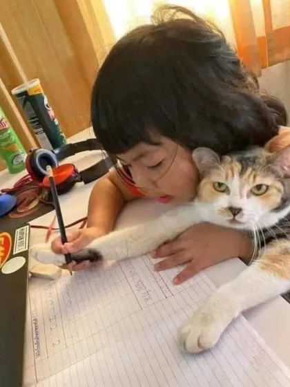 A helping paw with homework. This image perfectly captures the funny and sweet ways pets become part of our children's daily routines.