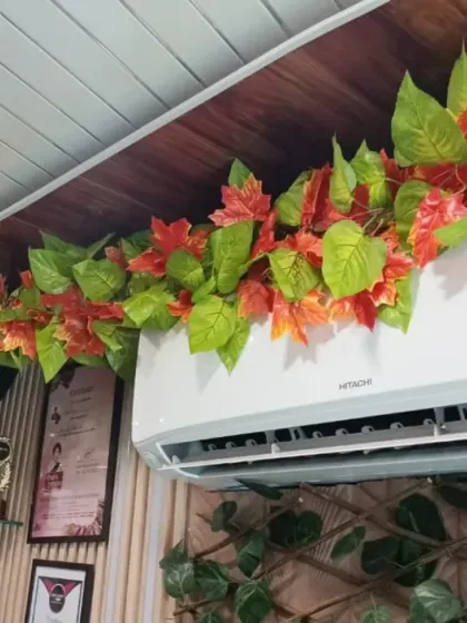 A clever and creative way to hide unsightly air conditioner wires. I used artificial autumn-colored vines to turn them into a decorative feature.