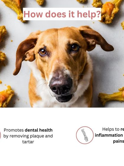 The Barkery by NV - Functional & Health-Specific Treats Joint & Mobility Support photo 14