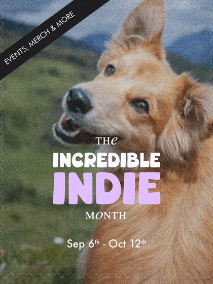 The Pack - Pet Parent Education & Workshops Awaara Nahi, Humara Hai: Community Dog Advocacy photo 14