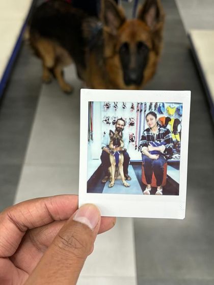 Zigly - Pet Supplies From Our Community: Happy Pets & Parents photo 20