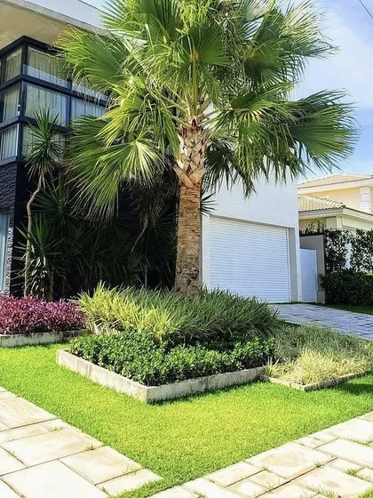We designed the front yard of this modern house with a mix of textures. The design includes raised garden beds with colorful foliage, a large palm tree for height, and a neat lawn, all working together to create great curb appeal.