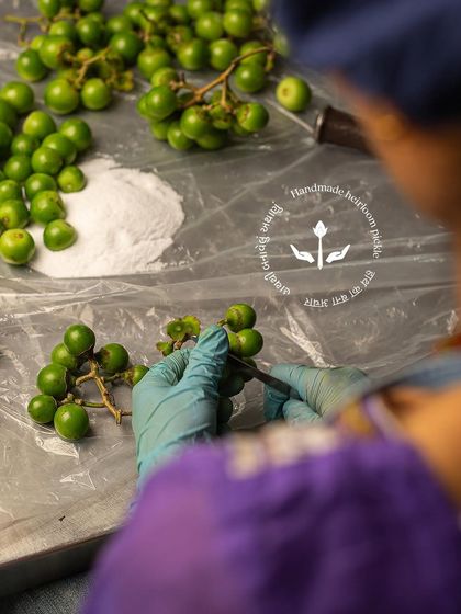 Sorting through fresh gunda berries to select only the best for our pickle. Quality ingredients are the key to our handmade, heirloom products.