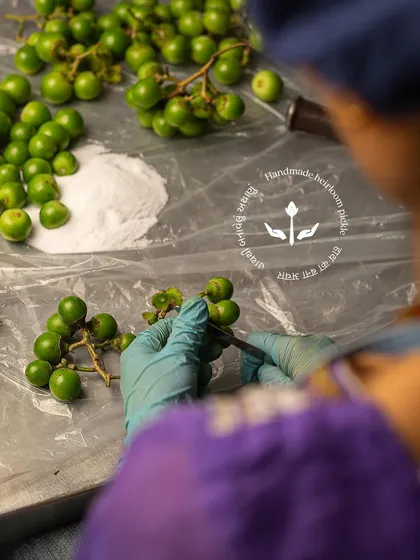 Sorting through fresh gunda berries to select only the best for our pickle. Quality ingredients are the key to our handmade, heirloom products.