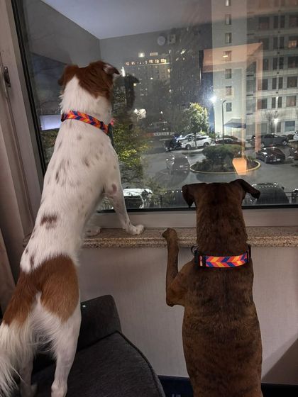 Happy Reunions & New Beginnings photo 12