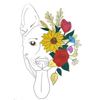 SAGA - The Dog Training Academy