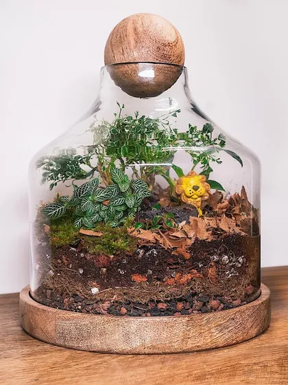 This baby announcement terrarium features a tiny lion figurine nestled in a lush green world under a glass dome. It's a unique and lasting way to celebrate a new arrival.
