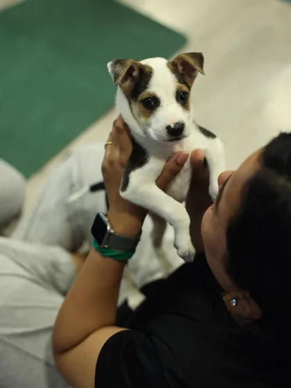 A close-up of a participant holding a small, spotted puppy, their faces close in a moment of connection.
