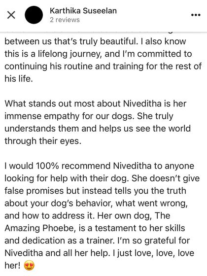 Confident Dogs - Canine Behavior Modification Real Dogs, Real Transformations photo 3