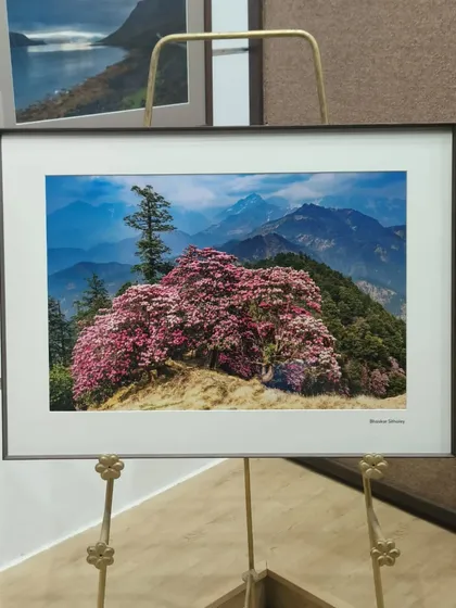 This stunning landscape photograph by Bhaskar Sitholey is printed with vibrant color accuracy and sharp detail. I framed it using a sleek metal frame and a wide mat to draw the viewer's eye into the beautiful mountain scenery.