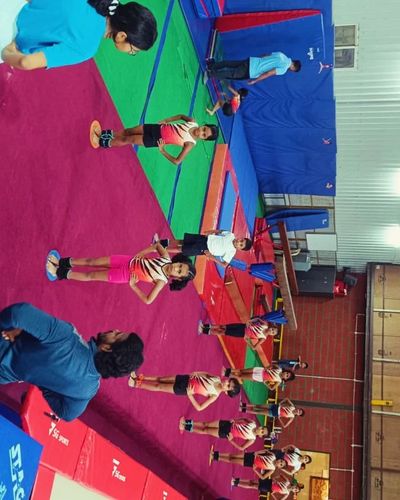 Gymnastics Coaching