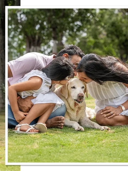 A collage showing a family showering their senior Labrador, Ice, with love. These moments of kisses and cuddles are what make a senior tribute session so meaningful.