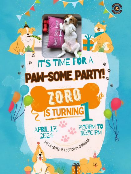 Here is the official invitation for Zoro the Beagle's first birthday. Planning a party here means every detail is taken care of, including fun, themed invites for your guests.