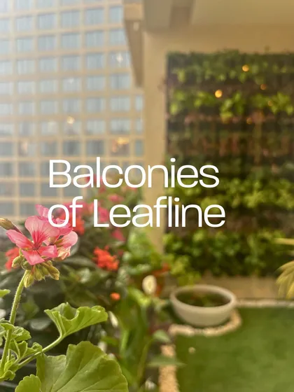 This city balcony combines a beautiful pink geranium with a full vertical garden in the background. It shows how I can create a focal point of color while maximizing green space against an urban backdrop.
