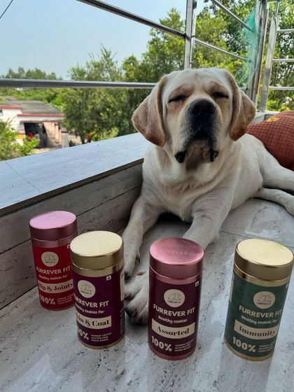 Lolo is all about that healthy life, posing proudly with his collection of Furrever Fit treats. He loves the taste, and his parents love the 100% natural ingredients.