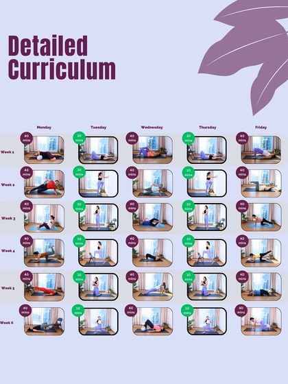 Here is the detailed curriculum for the 6-week program. You can see the progression from foundational movements in week 1 to more challenging workouts in week 6, ensuring a safe and effective journey.