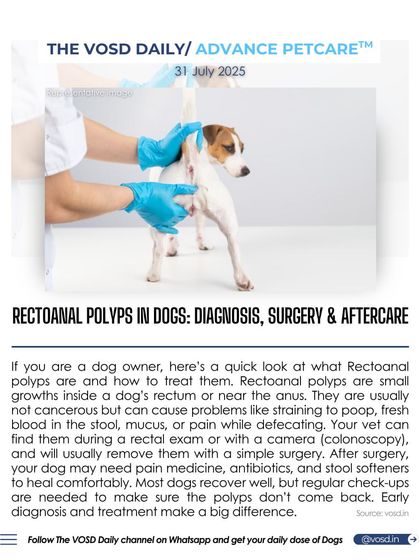 Rectoanal polyps are small growths that can cause problems like straining to poop or blood in the stool. I explain the diagnosis, surgery, and aftercare, emphasizing that early detection makes a big difference.