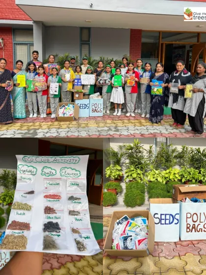 A proud display of the seed and polybag collection drive at St. Anthony School. The charts and organized boxes show the dedication of the students and teachers.