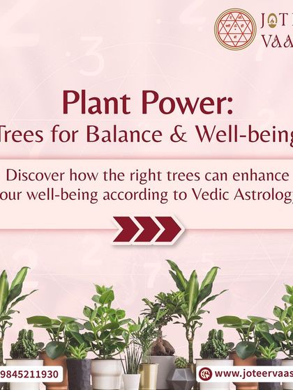 Joteer Vaastu - Vaastu Shastra Consultancy The Role of Sacred Plants photo 3